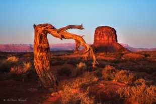 Mitchell Butte-9869